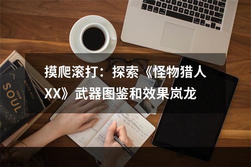 摸爬滚打：探索《怪物猎人XX》武器图鉴和效果岚龙