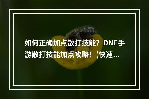 如何正确加点散打技能？DNF手游散打技能加点攻略！(快速提升战斗力)