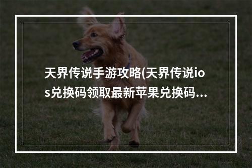 天界传说手游攻略(天界传说ios兑换码领取最新苹果兑换码分享)