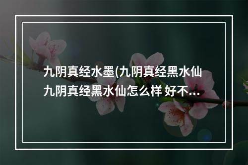 九阴真经水墨(九阴真经黑水仙 九阴真经黑水仙怎么样 好不好)