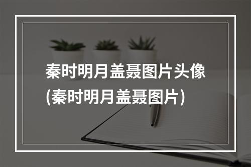 秦时明月盖聂图片头像(秦时明月盖聂图片)