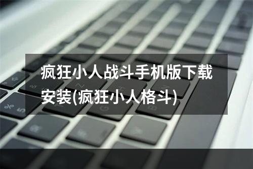 疯狂小人战斗手机版下载安装(疯狂小人格斗)