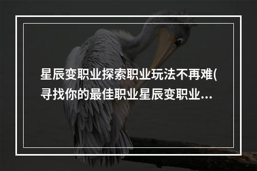 星辰变职业探索职业玩法不再难(寻找你的最佳职业星辰变职业)