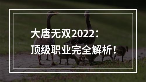 大唐无双2022：顶级职业完全解析！