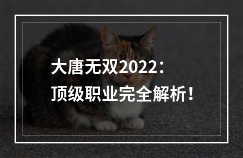 大唐无双2022：顶级职业完全解析！