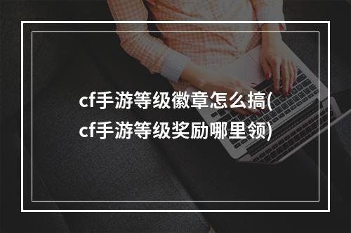 cf手游等级徽章怎么搞(cf手游等级奖励哪里领)