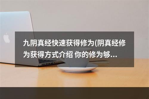 九阴真经快速获得修为(阴真经修为获得方式介绍 你的修为够用吗 )