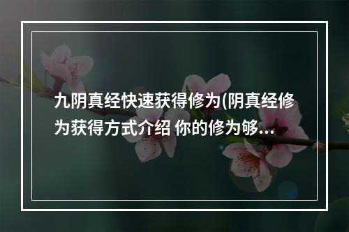 九阴真经快速获得修为(阴真经修为获得方式介绍 你的修为够用吗 )