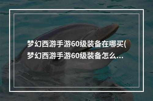 梦幻西游手游60级装备在哪买(梦幻西游手游60级装备怎么得到)