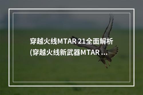 穿越火线MTAR 21全面解析(穿越火线新武器MTAR 21如何使用)