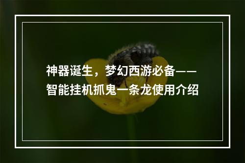 神器诞生，梦幻西游必备——智能挂机抓鬼一条龙使用介绍