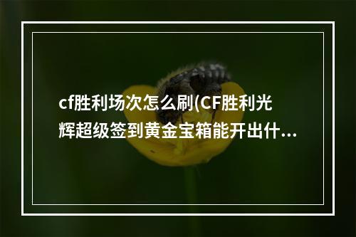 cf胜利场次怎么刷(CF胜利光辉超级签到黄金宝箱能开出什么 黄金宝箱内容)