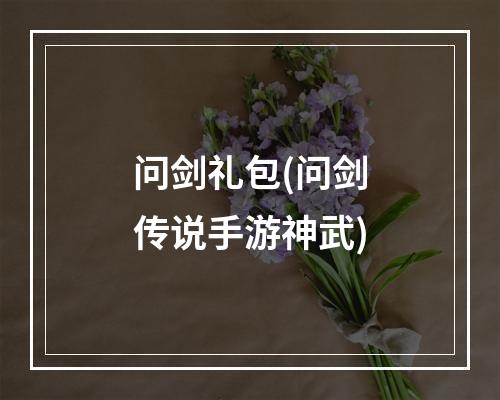 问剑礼包(问剑传说手游神武)