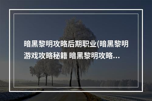 暗黑黎明攻略后期职业(暗黑黎明游戏攻略秘籍 暗黑黎明攻略大全 高分技巧  )