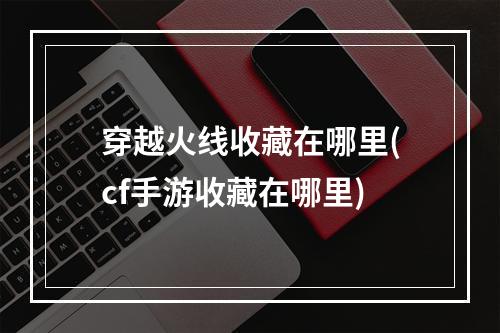 穿越火线收藏在哪里(cf手游收藏在哪里)