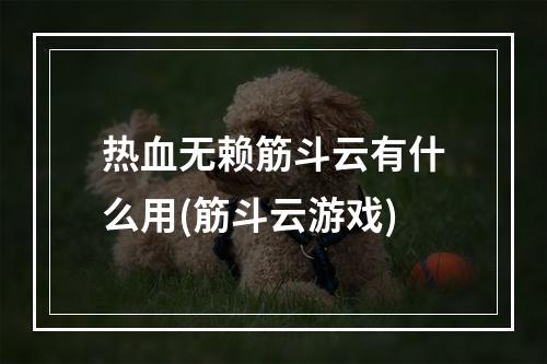 热血无赖筋斗云有什么用(筋斗云游戏)