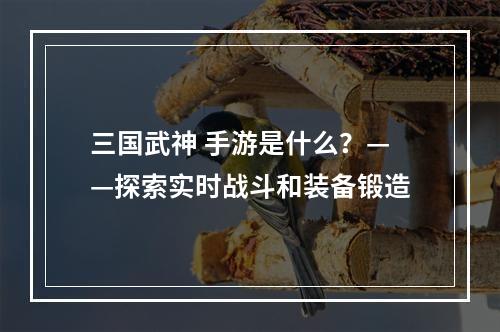 三国武神 手游是什么？——探索实时战斗和装备锻造