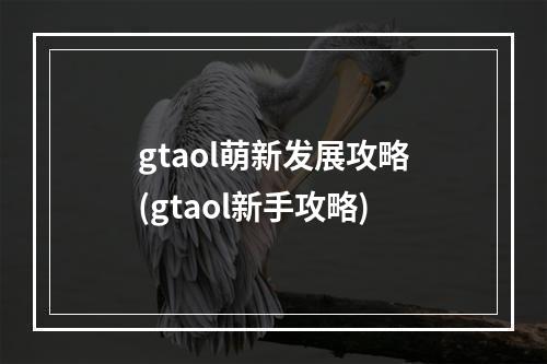 gtaol萌新发展攻略(gtaol新手攻略)