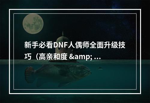 新手必看DNF人偶师全面升级技巧（高亲和度 & 优秀装备）