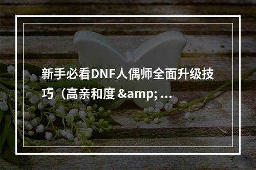 新手必看DNF人偶师全面升级技巧（高亲和度 & 优秀装备）