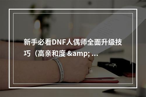 新手必看DNF人偶师全面升级技巧（高亲和度 & 优秀装备）