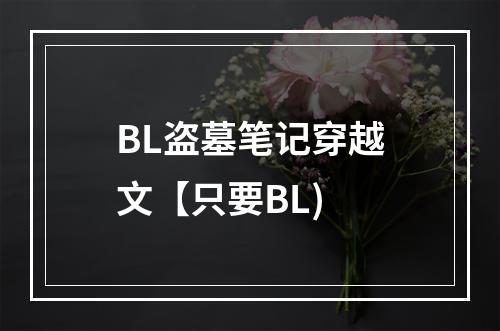 BL盗墓笔记穿越文【只要BL)