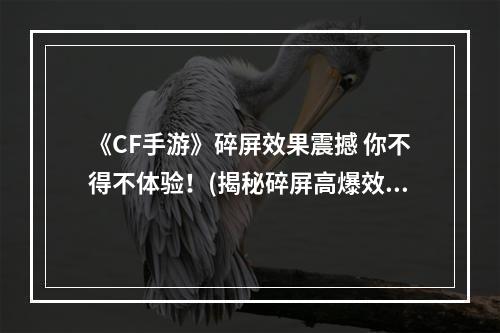 《CF手游》碎屏效果震撼 你不得不体验！(揭秘碎屏高爆效果)(惨烈的战争场面，碎屏高爆让你身临其境！(全面了解CF手游碎屏效果))