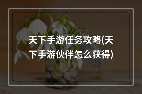 天下手游任务攻略(天下手游伙伴怎么获得)