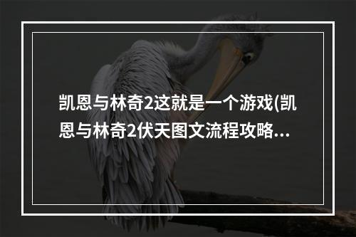 凯恩与林奇2这就是一个游戏(凯恩与林奇2伏天图文流程攻略)