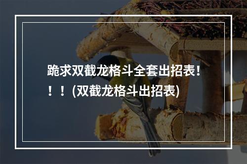 跪求双截龙格斗全套出招表！！！(双截龙格斗出招表)