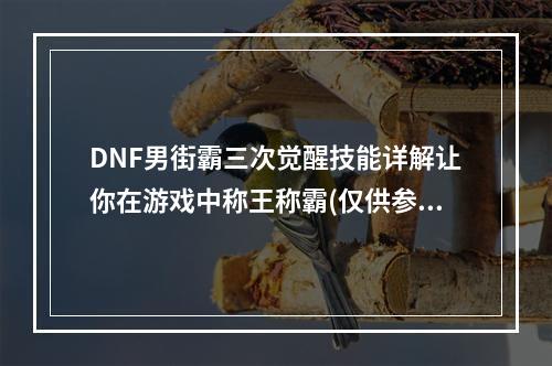 DNF男街霸三次觉醒技能详解让你在游戏中称王称霸(仅供参考)