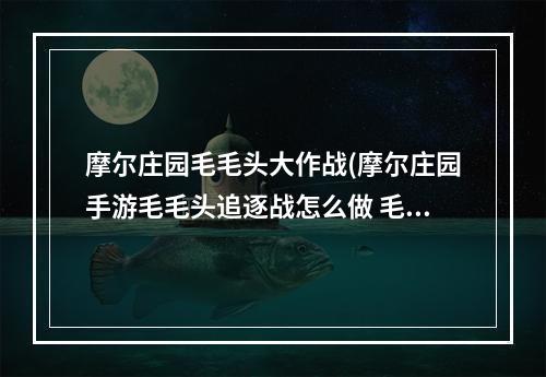 摩尔庄园毛毛头大作战(摩尔庄园手游毛毛头追逐战怎么做 毛毛头追逐战完成攻略)