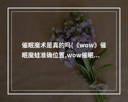 催眠魔术是真的吗(《wow》催眠魔蛙准确位置,wow催眠魔蛙获取方法)