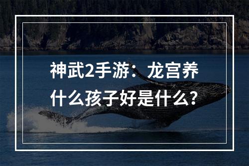 神武2手游：龙宫养什么孩子好是什么？