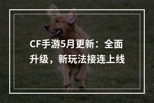 CF手游5月更新：全面升级，新玩法接连上线