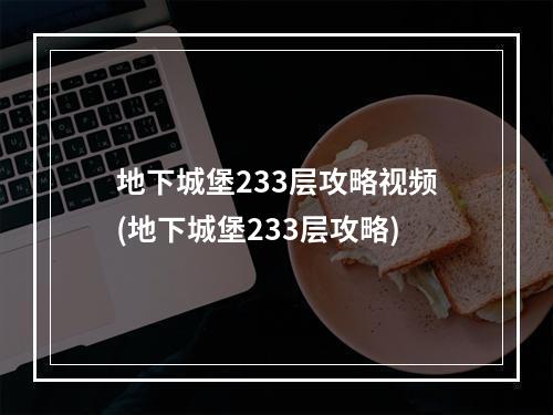 地下城堡233层攻略视频(地下城堡233层攻略)