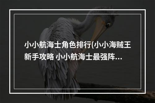 小小航海士角色排行(小小海贼王新手攻略 小小航海士最强阵容)