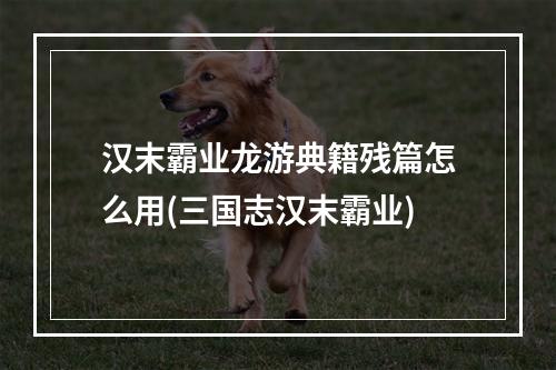 汉末霸业龙游典籍残篇怎么用(三国志汉末霸业)