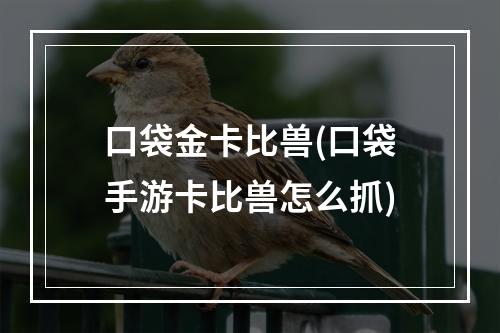 口袋金卡比兽(口袋手游卡比兽怎么抓)