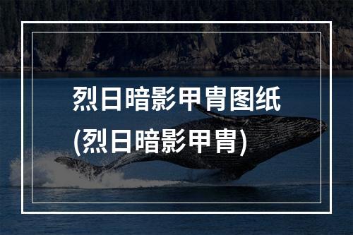 烈日暗影甲胄图纸(烈日暗影甲胄)