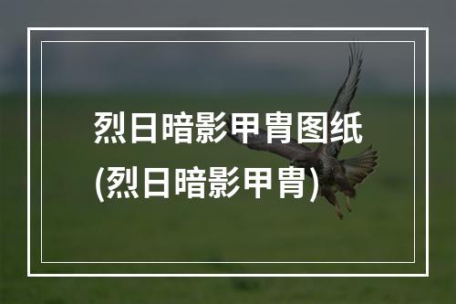 烈日暗影甲胄图纸(烈日暗影甲胄)