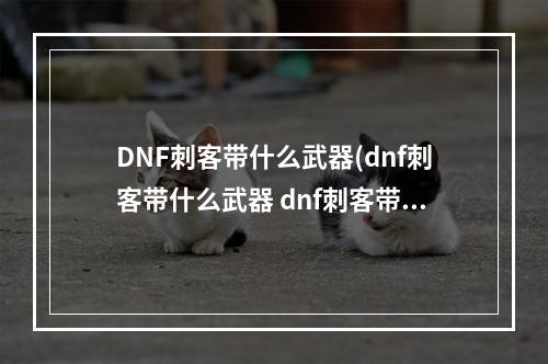 DNF刺客带什么武器(dnf刺客带什么武器 dnf刺客带什么武器最好  )