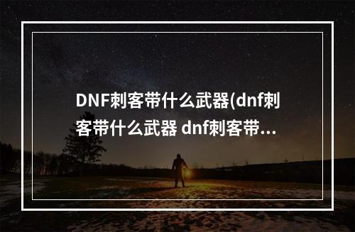 DNF刺客带什么武器(dnf刺客带什么武器 dnf刺客带什么武器最好  )