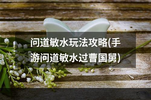 问道敏水玩法攻略(手游问道敏水过曹国舅)