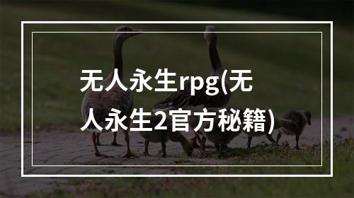 无人永生rpg(无人永生2官方秘籍)