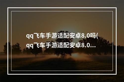 qq飞车手游适配安卓8.0吗(qq飞车手游适配安卓8.0)