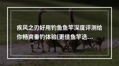 疾风之刃好用钓鱼鱼竿深度评测给你畅爽垂钓体验(更佳鱼竿选择)