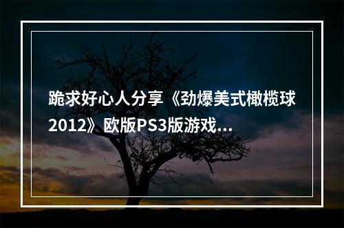 跪求好心人分享《劲爆美式橄榄球2012》欧版PS3版游戏免费百度云资源(美式橄榄球游戏)