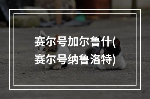 赛尔号加尔鲁什(赛尔号纳鲁洛特)