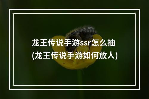 龙王传说手游ssr怎么抽(龙王传说手游如何放人)